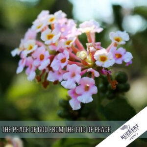 The peace of God from the God of peace - Audio