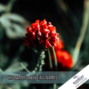 His name is above all names - Audio + Sermon Notes