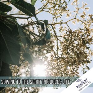 Sowing to the Spirit produces life - Audio + Sermon Notes