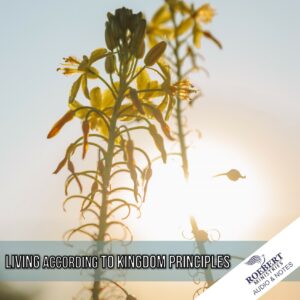 Living according to kingdom principles - Audio + Sermon Notes